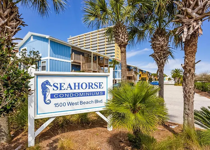 Seahorse 411 *